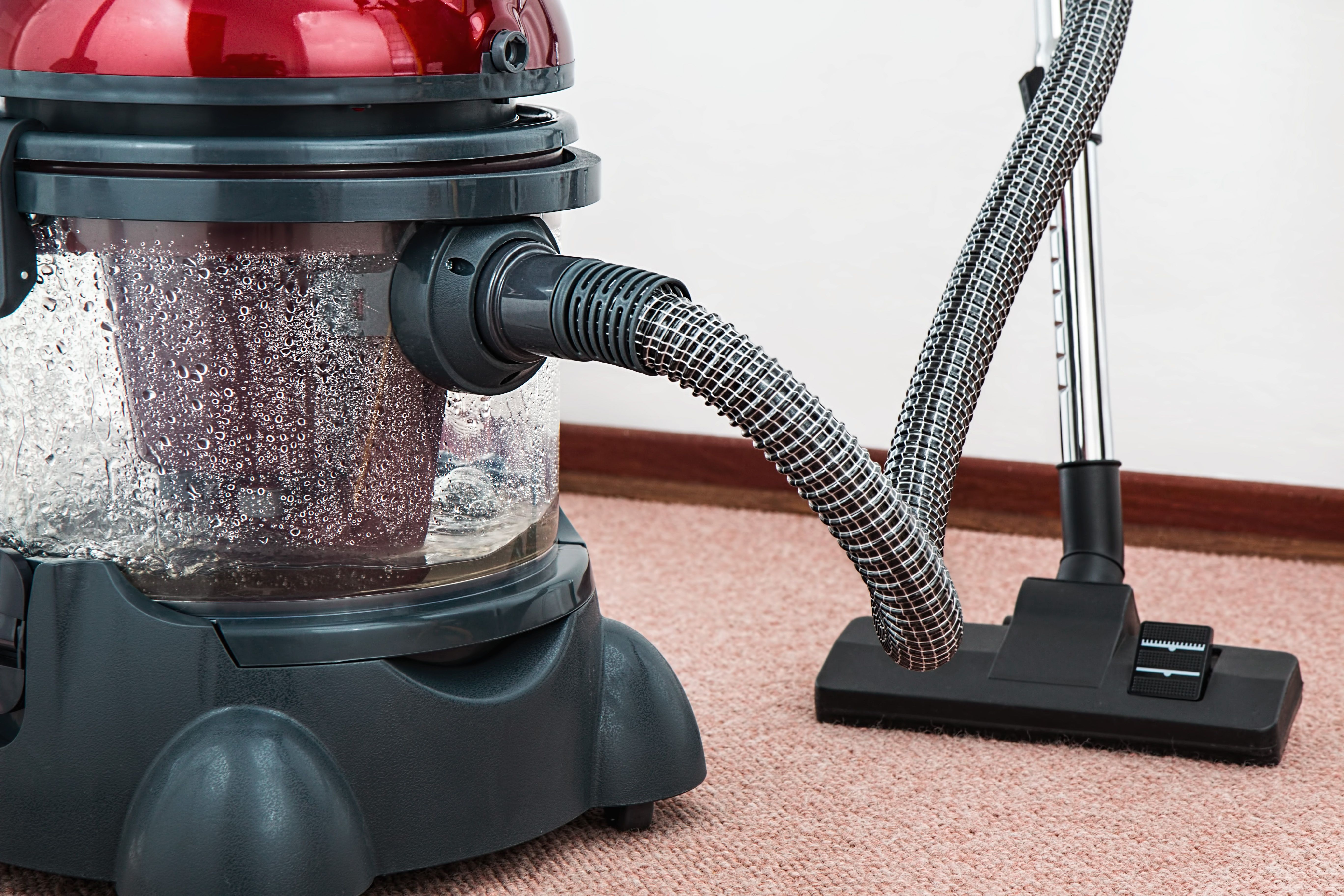 Carpet cleaning service Seattle